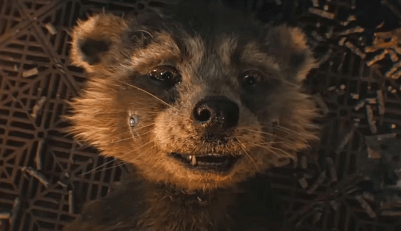Does Rocket Die In Guardians of the Galaxy 3 TrendingETC